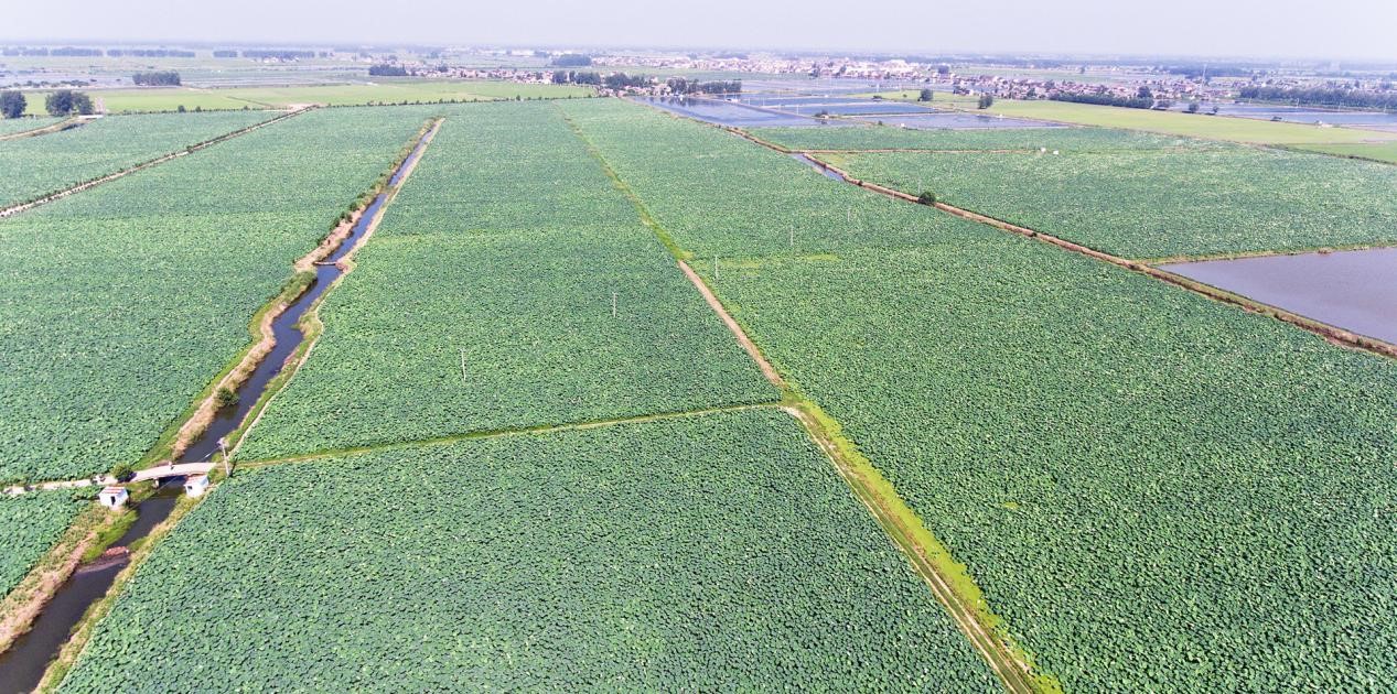 UG环球·(中国集团)官方网站